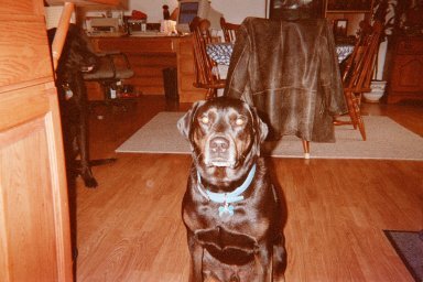 feb02.hank.jpg